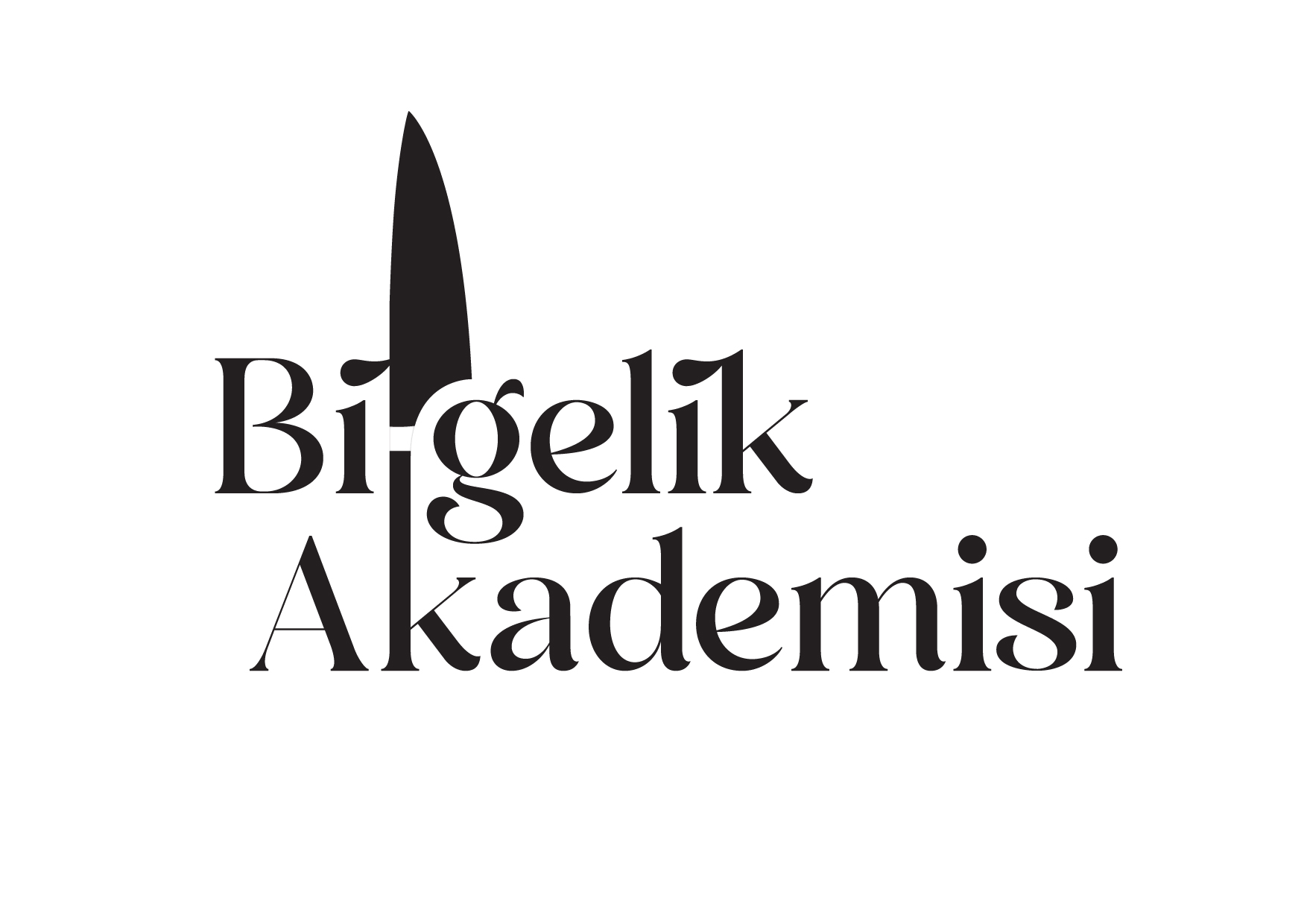 Bilgelik Akademisi logo